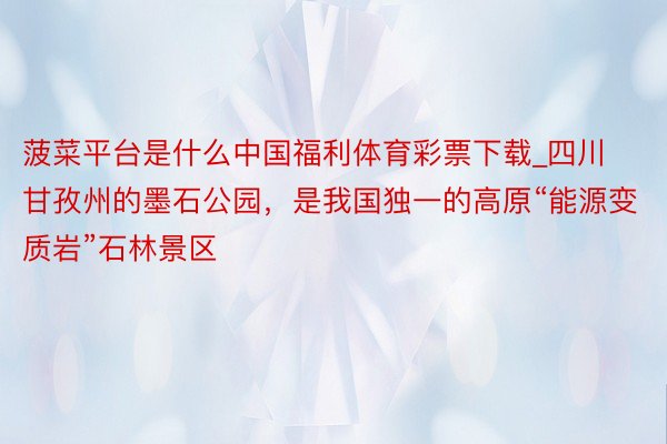 菠菜平台是什么中国福利体育彩票下载_四川甘孜州的墨石公园，是我国独一的高原“能源变质岩”石林景区