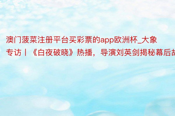澳门菠菜注册平台买彩票的app欧洲杯_大象专访丨《白夜破晓》热播，导演刘英剑揭秘幕后故事